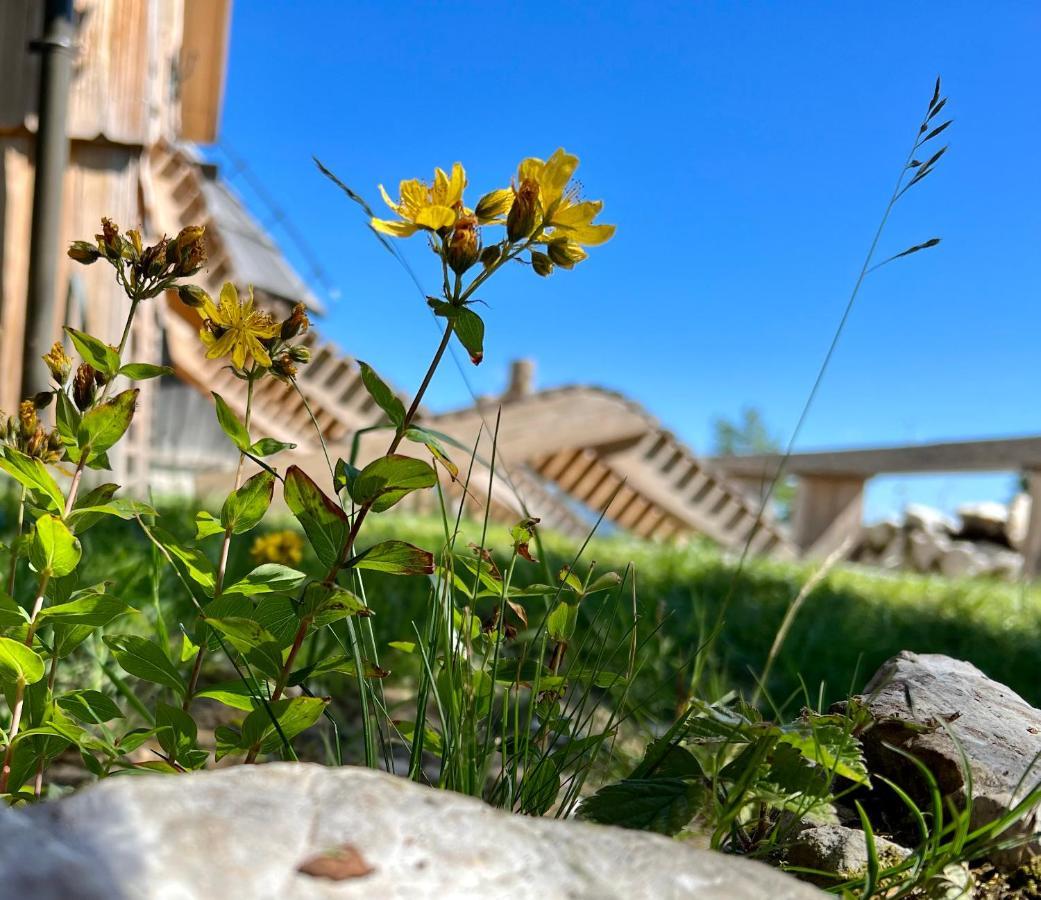 Chalet Velika Planina - I Feel Alps Stahovica Exteriér fotografie